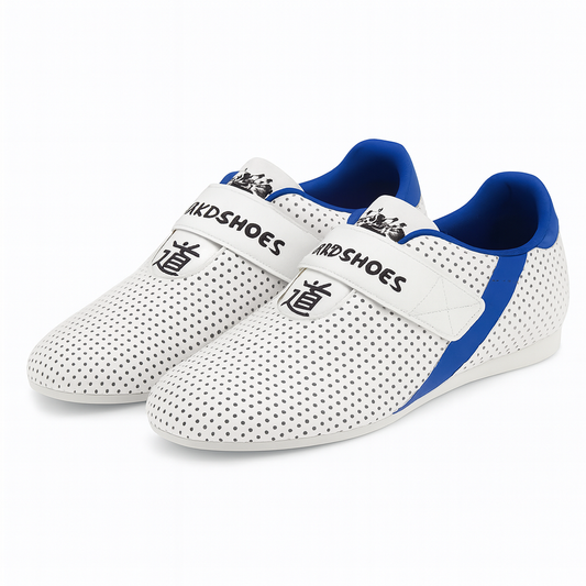 Chausson De Taekwondo