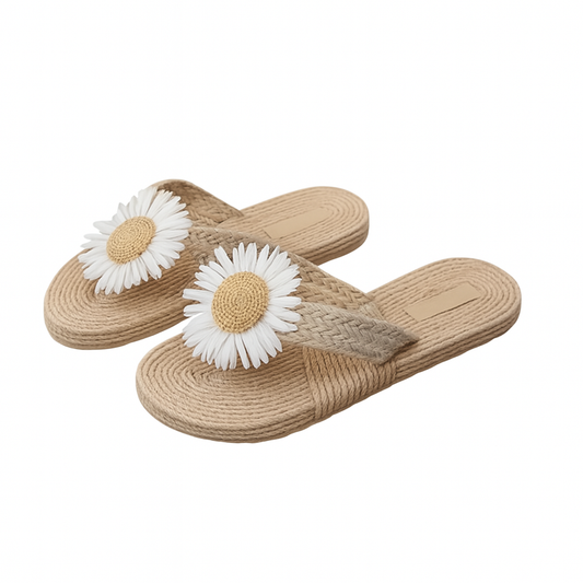 Chausson avec Tournesol