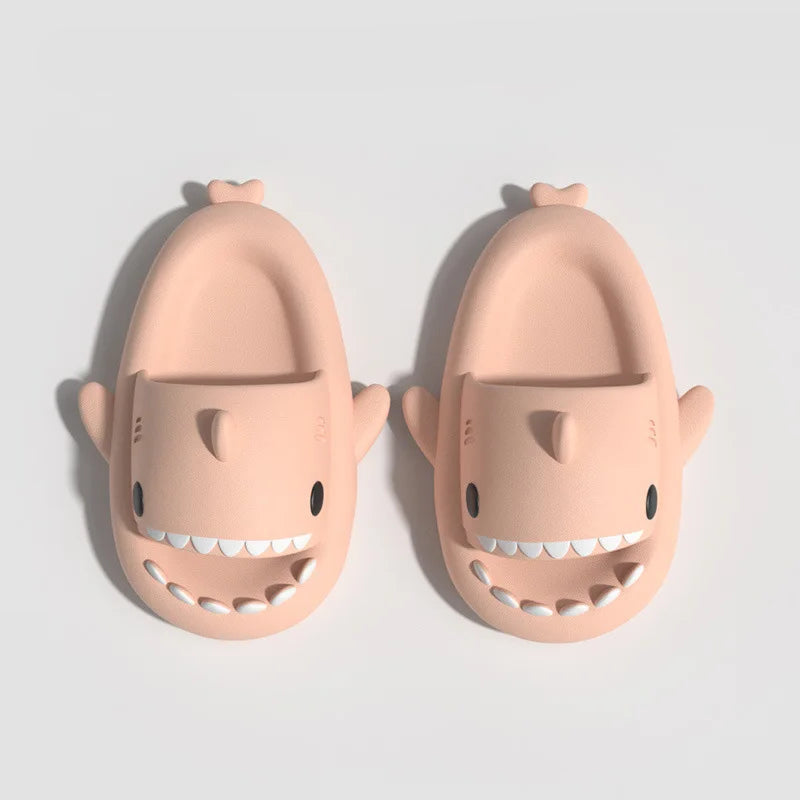 Chausson Requin Adulte