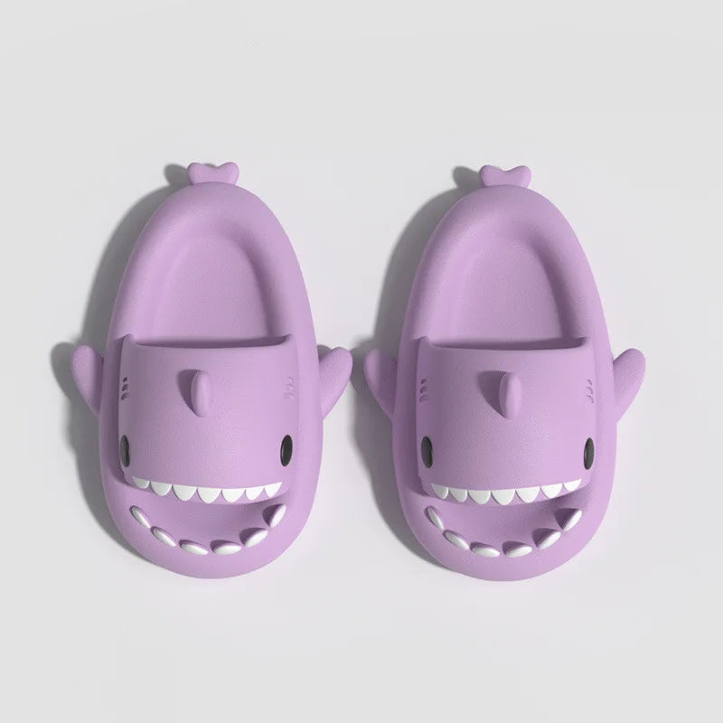 Chausson Requin Adulte