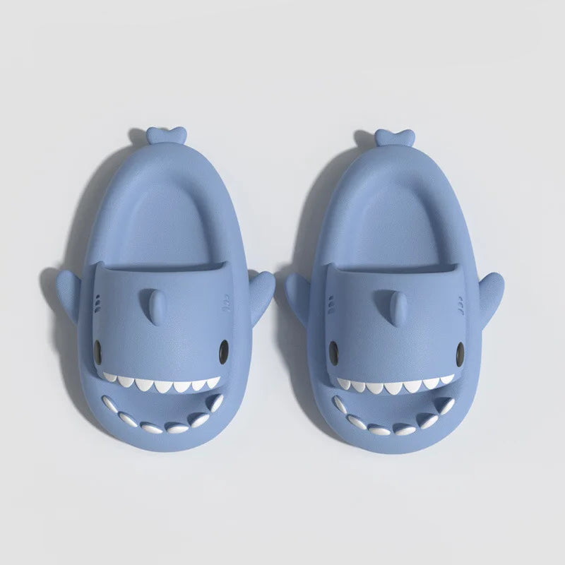 Chausson Requin Adulte
